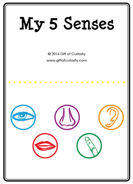 Five senses activities: A printable My 5 Senses activity book plus a link to a five senses sorting activity #5senses #handsonlearning || Gift of Curiosity