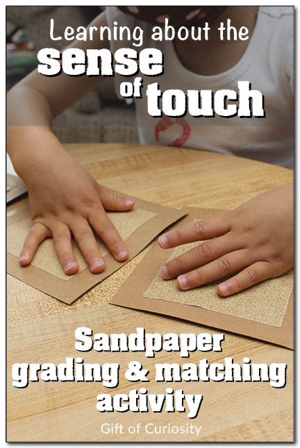 Learning about the sense of touch with a sandpaper grading and matching activity #fivesenses #handsonlearning #Montessori || Gift of Curiosity