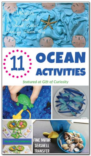 11 ocean activities for kids - Gift of Curiosity