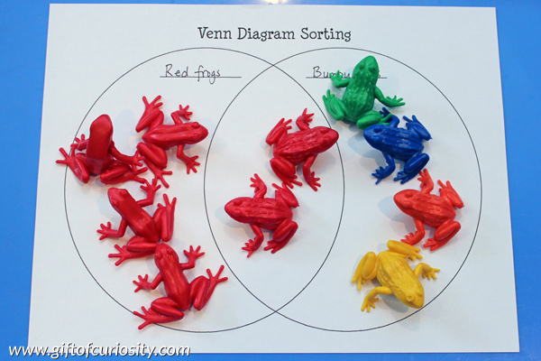 Advanced sorting skills with Venn diagrams - teach your children advanced sorting and categorization skills using Venn diagrams, in which the sorting categories are not mutually exclusive but overlap #handsonlearning || Gift of Curiosity