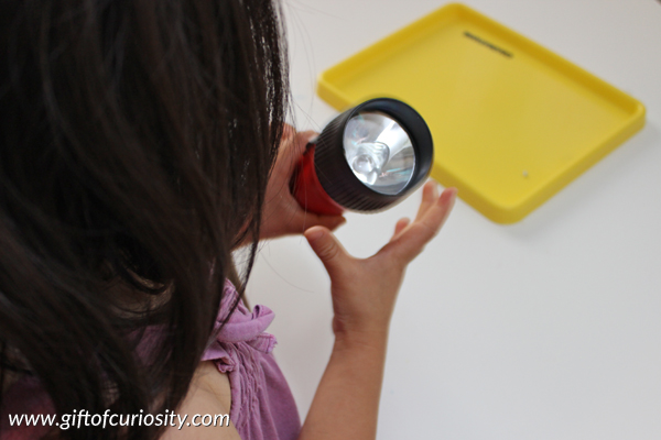 How to assemble a flash light - #Montessori #practicallife activity for kids that develops fine motor skills and teaches about flashlights and battery polarity || Gift of Curiosity