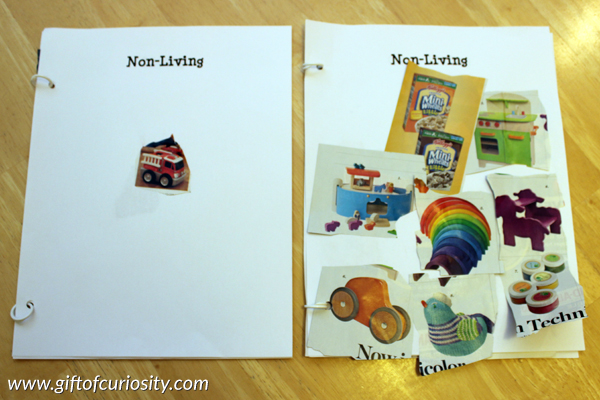 Introduction to once living - once kids have mastered the difference between living and nonliving, you can introduce the concept of "once living." This post has several Montessori-inspired hands-on activities for teaching kids about the concept of once living. #handsonscience #montessori || Gift of Curiosity