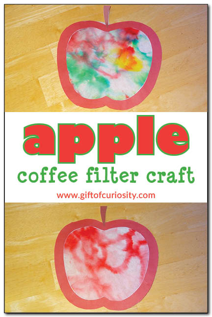 Apple coffee filter craft - use markers and a coffee filter to create these beautiful apple coffee filter crafts through the magic of chromatography #apples #handsonlearning #scienceandartcombined || Gift of Curiosity
