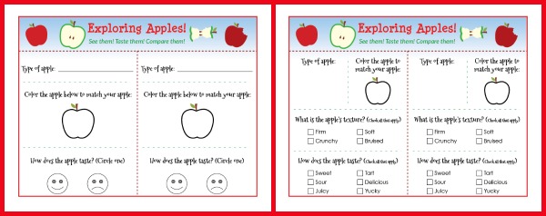 Apple taste testing: Kids can compare the different tastes and textures of apples with this taste testing activity. Plus, kids can record their findings on the free Exploring Apples printable. #apples #freeprintable || Gift of Curiosity