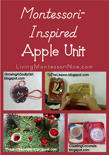 Montessori-inspired apple unit from Living Montessori Now