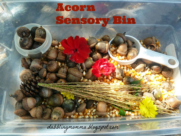Acorn sensory bin from Dabbling Momma