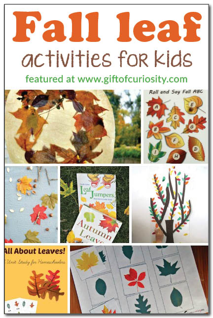 Fall leaf activities for kids || Gift of Curiosity