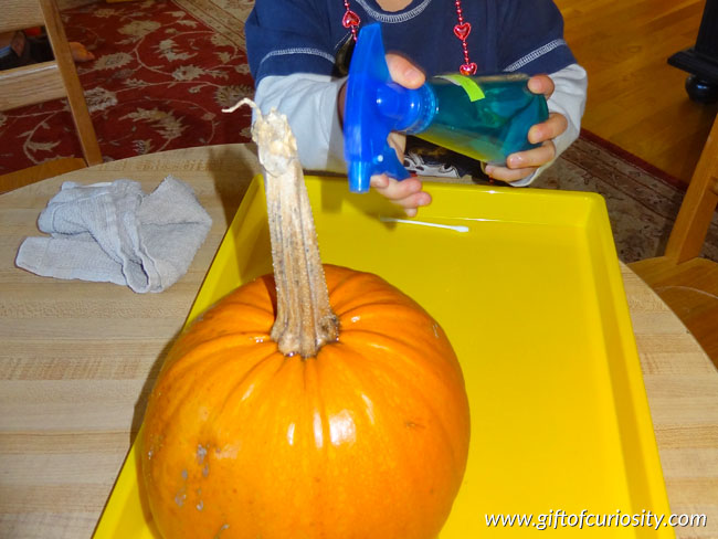 Fine motor activities with pumpkins 2 - pumpkin polishing
