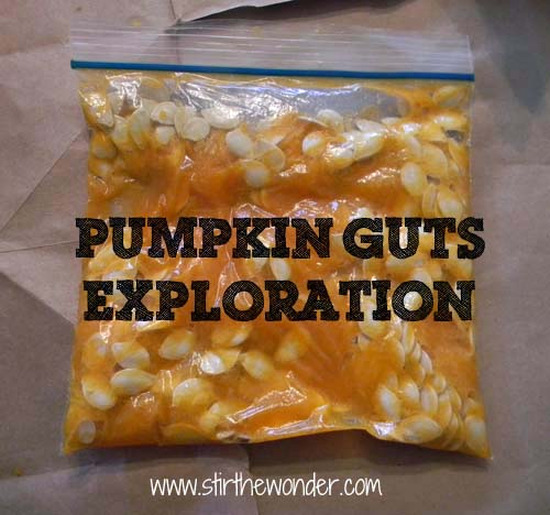 Pumpkin guts exploration from Stir the Wonder