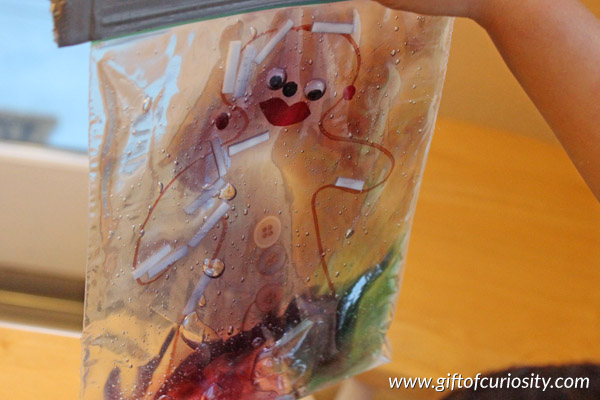 Gingerbread man sensory bag: A great Christmas sensory play idea. Fill a plastic bag with gel and several small items like googly eyes and buttons for making a gingerbread man. Kids will think this is a puzzle, and it provides their fine motor skills a great workout too! || Gift of Curiosity