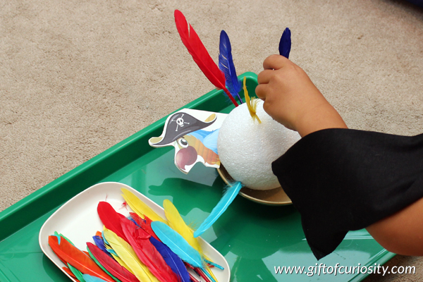 Pirate Montessori activities: Put the feathers on the parrot || Gift of Curiosity