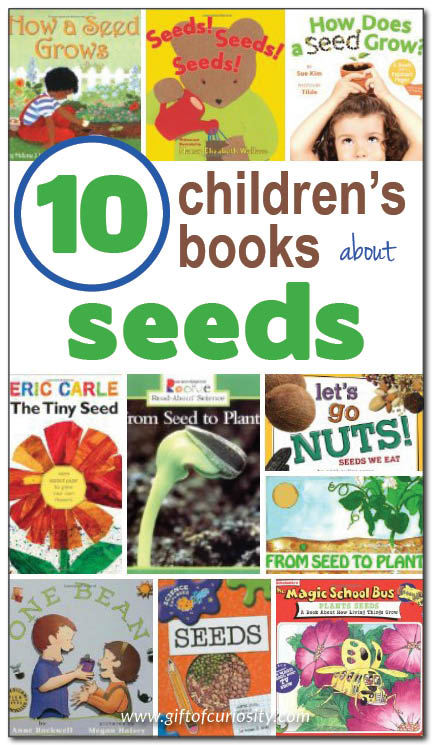 10 books about seeds for kids, including non-fiction and fiction selections for kids from toddlers through early elementary age. These are great books to read for a unit on seeds! || Gift of Curiosity