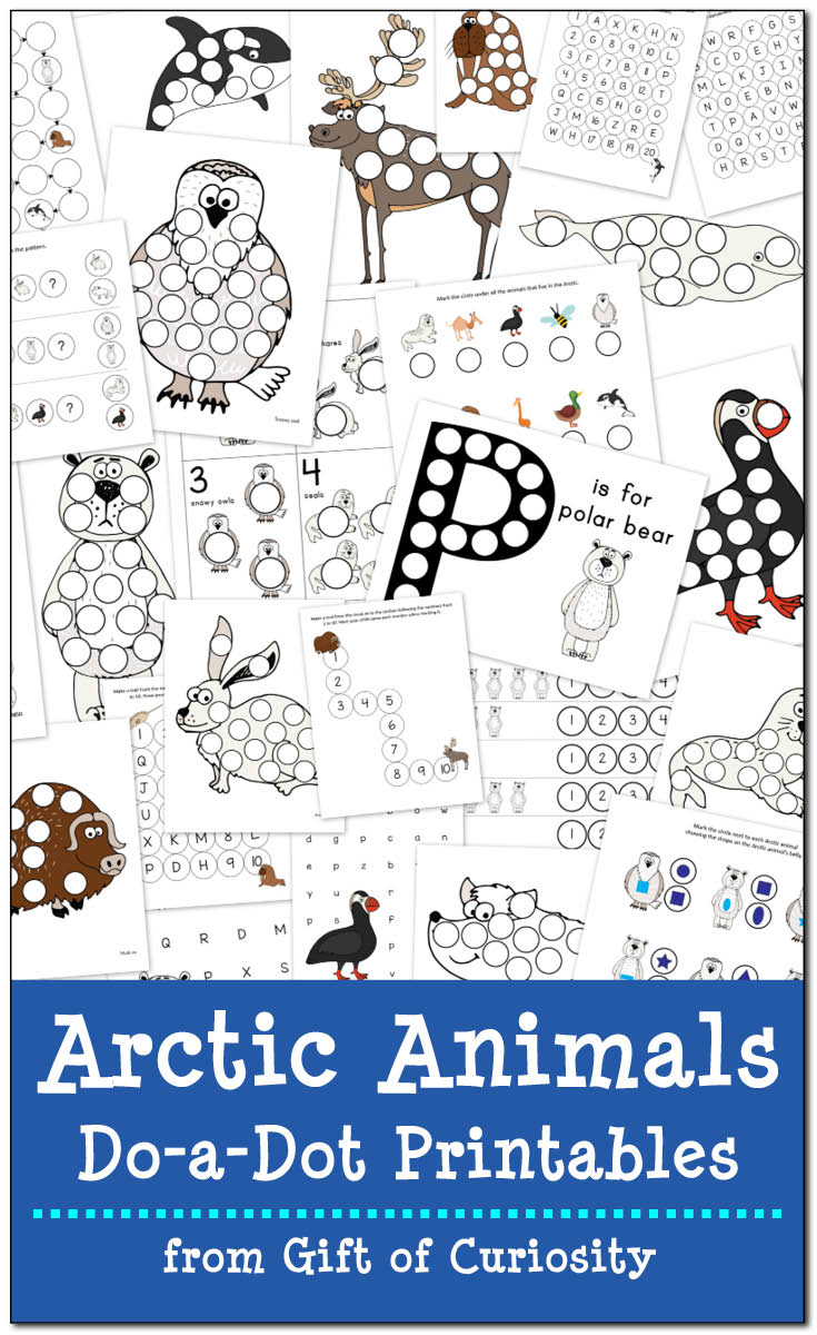 Arctic Animals Do-a-Dot Printables: 26 pages of Arctic animals do-a-dot worksheets for kids ages 2-6 with activities that focus on one-to-one correspondence, shapes, colors, patterning, letters, and numbers. || Gift of Curiosity