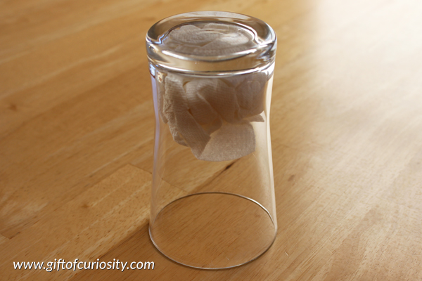 Air pressure activities for kids: How does the paper towel stay dry? || GIft of Curiosity
