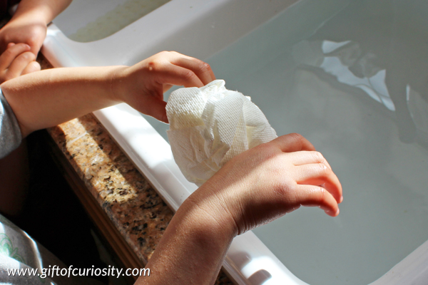 Air pressure activities for kids: How does the paper towel stay dry? || GIft of Curiosity