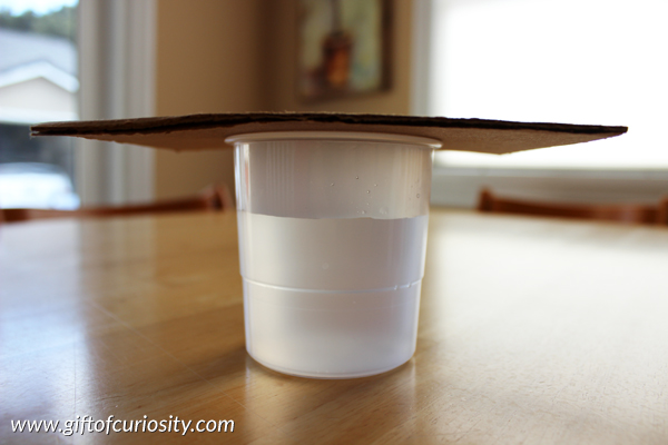 Air pressure activities for kids: How does the cardboard float? || GIft of Curiosity