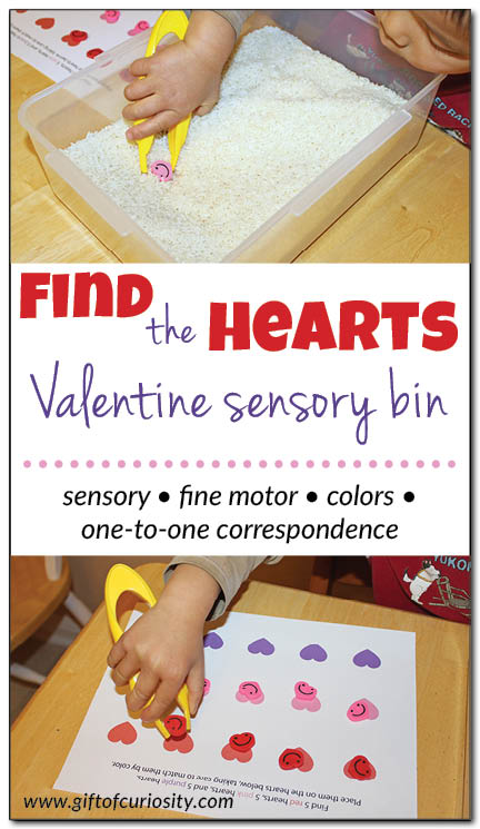 This "Find the Hearts" simple Valentine sensory bin works on sensory, fine motor, color knowledge, and one-to-one correspondence. || Gift of Curiosity