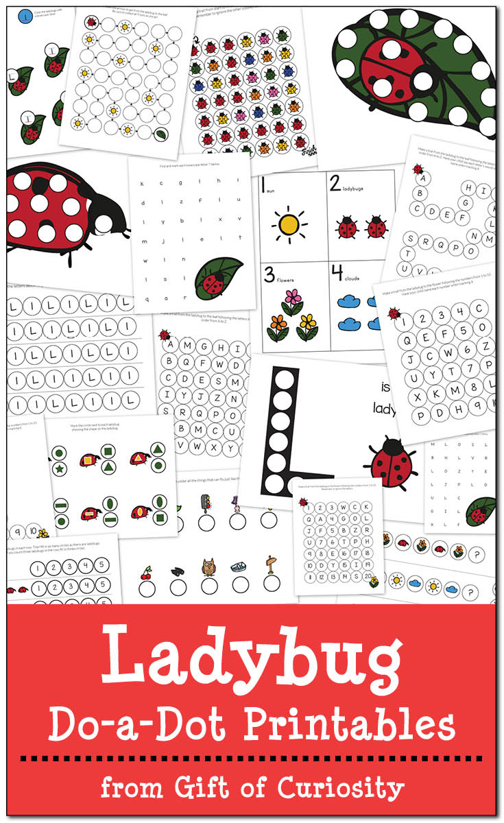 Free Ladybug Do-a-Dot Printables: 19 pages of ladybug do-a-dot worksheets for kids ages 2-6. || Gift of Curiosity