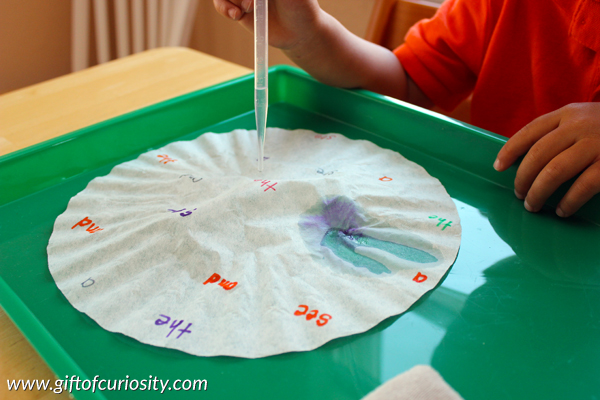 Sight word magic: Use the magic of coffee filter chromatography to practice sight words || Gift of Curiosity
