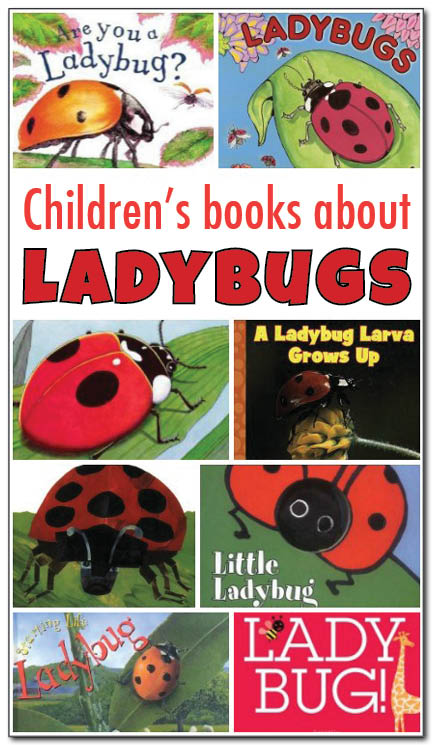 Books about ladybugs for kids: A review of 8 fiction and non-fiction children's books about ladybugs. Great resources for teaching about the ladybug life cycle! || Gift of Curiosity