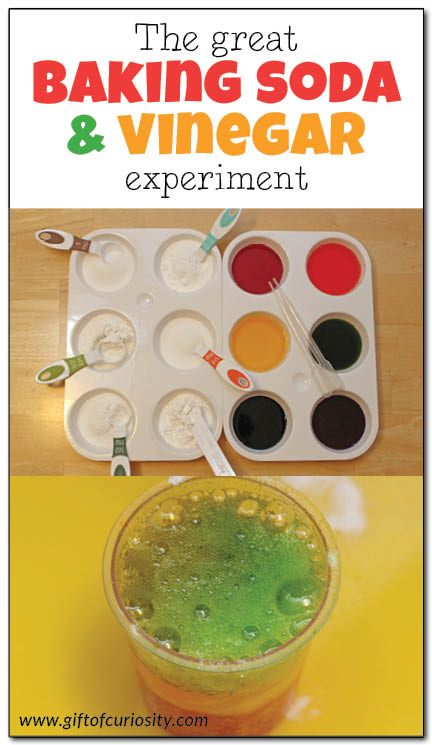 The great baking soda and vinegar experiment: Challenge your kids to use their knowledge of baking soda and vinegar chemical reactions to determine which of six powders is baking soda and which of six liquids is vinegar. This is a great follow up experiment to other baking soda and vinegar activities! || Gift of Curiosity