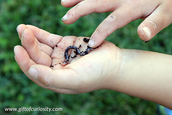DIY worm tower kids can make - with a bit of adult supervision of course! What a fun way to talk about the important role earthworms play in keeping our soil healthy. || Gift of Curiosity