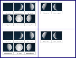 Phases of the Moon Printables - Gift of Curiosity