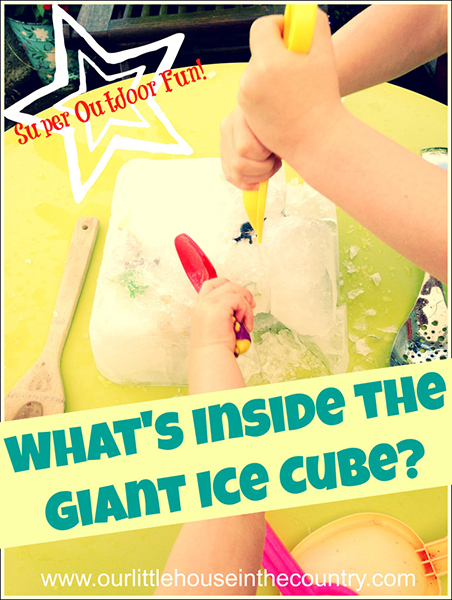 Whats inside the giant ice cube from Our Little House in the Country