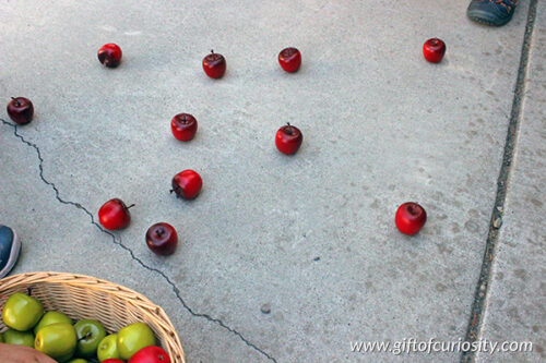 Apple fine motor game using tongs - Gift of Curiosity