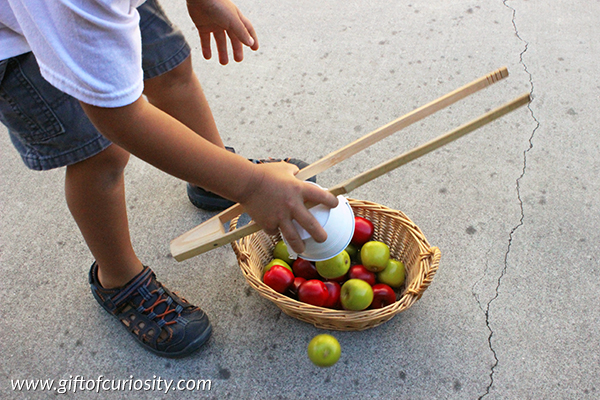A fun apple fine motor game where kids must race to fill their apple pails as quickly as possible using only a pair of kitchen tongs! A great activity for a preschool apple unit. || Gift of Curiosity