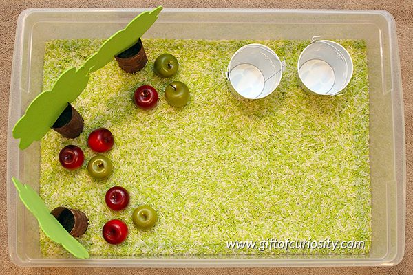 This delightful apple sensory bin invites children to engage in rich dramatic play and to develop their fine motor skills. This is a perfect bin for a preschool apple unit! || Gift of Curiosity