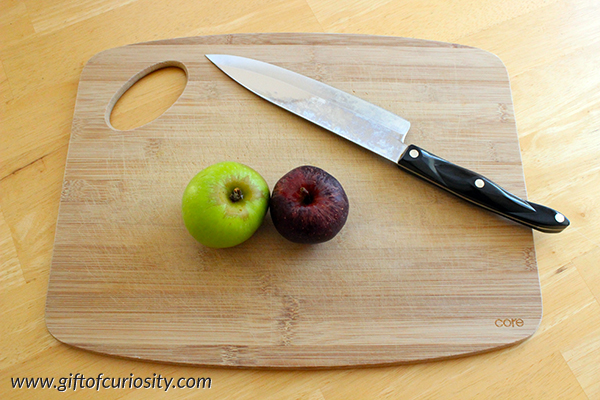 Dissecting an apple: A Montessori-inspired activity from Gift of Curiosity || Gift of Curiosity
