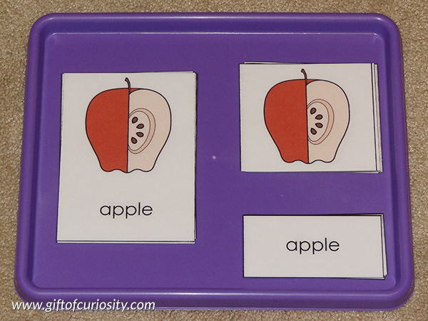 Apple 3-part cards: Part of a collection of apple-themed Montessori activity ideas for kids ages 2-5. || Gift of Curiosity