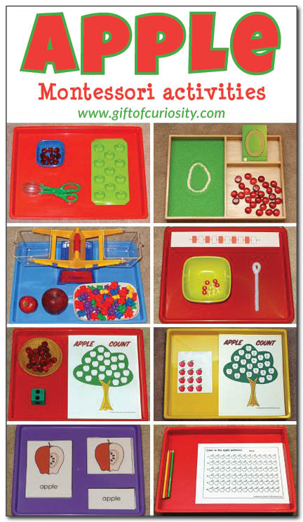 A great collection of apple-themed Montessori activity ideas for kids ages 2-5. I love the math counting tray! || Gift of Curiosity