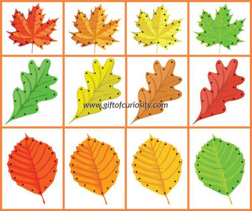 Fall Leaf Lacing Cards {free printable} - Gift of Curiosity