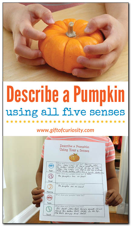 Describe a pumpkin using all five senses: This fall science activity challenges kids to describe the properties of a pumpkin with rich detail. Download the free worksheet to guide kids in describing a pumpkin using all five senses. || Gift of Curiosity