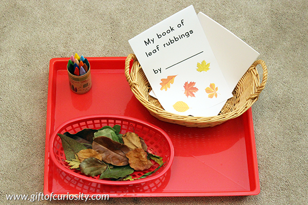 Leaf rubbings activity + free printable book. I love how this combines science and fine motor skills development for kids! || Gift of Curiosity