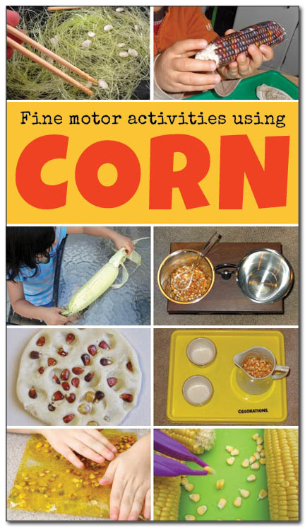 8 corn fine motor activities to try with your kids this fall. This list of fine motor activities using corn is diverse and involves using many different parts of the corn plant. I really want to try #1! || Gift of Curiosity