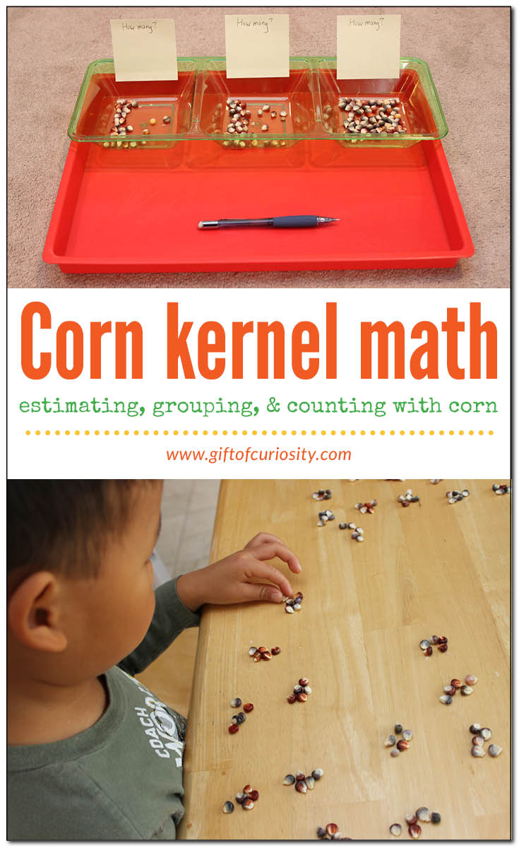 You can use corn kernels to practice some great early math skills, including estimating, grouping by 5s or 10s, and counting. See how we used corn kernels for some great fall math practice! || Gift of Curiosity