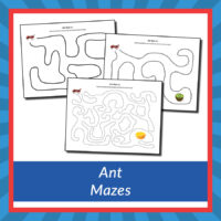 Ant Mazes - Gift of Curiosity