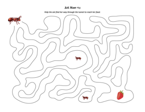 Ant Mazes - Gift of Curiosity