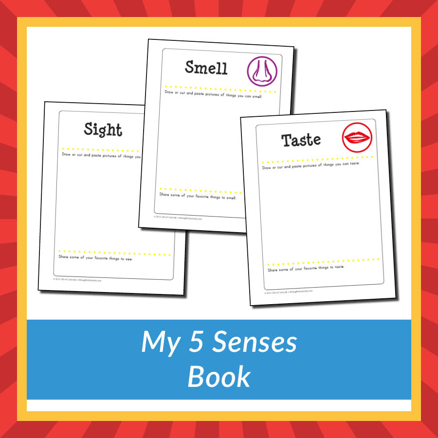 My 5 Senses Book Gift Of Curiosity