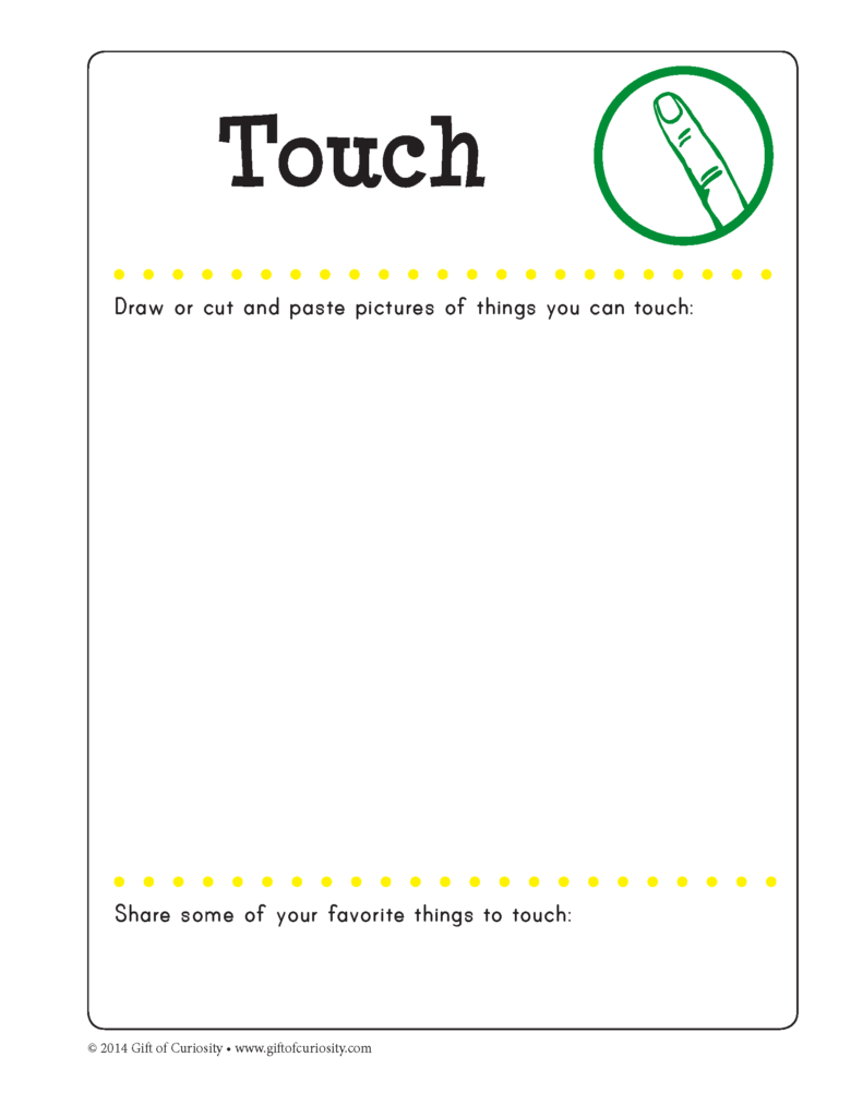 My 5 Senses Book - Gift of Curiosity