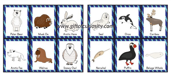 Free Arctic Animals Bingo printable game. What a great resource for helping preschoolers, kindergartners, and other young kids learn the names of common Arctic animals! || Gift of Curiosity
