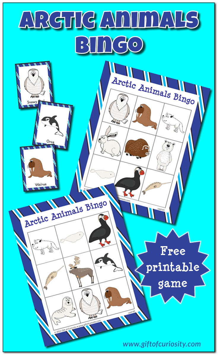 Free Arctic Animals Bingo printable game. What a great resource for helping preschoolers, kindergartners, and other young kids learn the names of common Arctic animals! || Gift of Curiosity