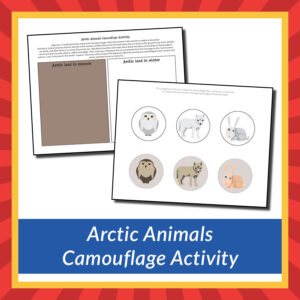 Arctic Animals Camouflage Activity