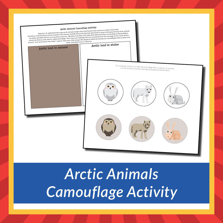 Arctic Animals Camouflage Activity - Gift of Curiosity