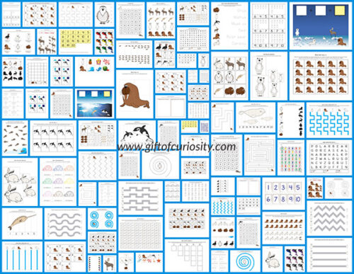 Arctic Animals Printables Pack with more than 70 Arctic animal ...