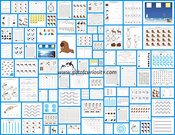Arctic Animals Printables Pack with more than 70 Arctic animal activities  for kids! - Gift of Curiosity