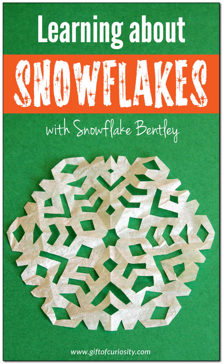 Wilson "Snowflake" Bentley was a pioneer in snowflake research who captured the first photos of individual snowflakes. Bentley noticed that snowflakes have six sides, and that no two snowflakes are alike. After reading about Snowflake Bentley, make six-sided paper snowflakes and observe how no two snowflakes are ever alike! || Gift of Curiosity